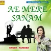 About Ae Mere Sanam Song